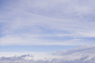 Small image of Stephen Chalmers Color Photograph from the Limbo series