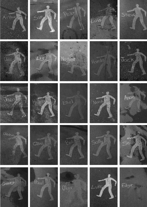 grid of companions images