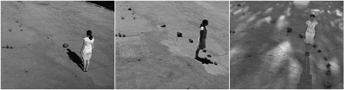 3 images from the as the earth turns project