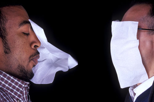 image from tissue blowing project
